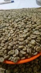 Robusta coffee – product photo 1, product detail gallery