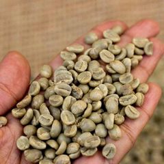 Robusta coffee – product photo 2, product detail gallery