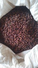 Dried Cloves AB6 - Image 1