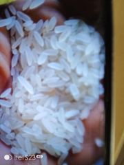 Maize, Rice, Millet and Palm Oil - Image 1