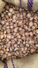 Split Betel Nut – product photo 2, product detail gallery