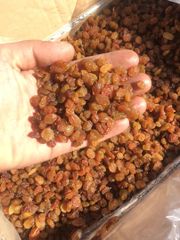 Iranian Raisins – product photo 1, product detail gallery