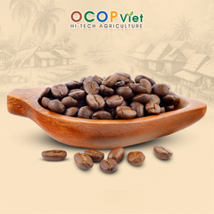 Cà Phê Robusta – product photo 2, product detail gallery