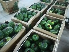 Watermelon – product photo 4, product detail gallery
