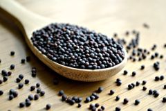 Mustard Seeds - Image 1