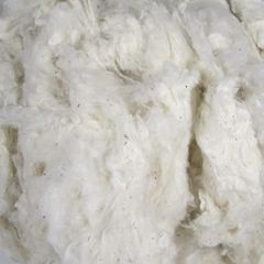 Premium Raw Cotton - Image 1