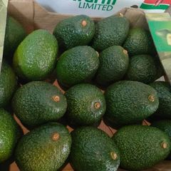 Fresh Organic Avocados – product photo 4, product detail gallery