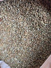 Robusta Coffee Beans and Arabica Coffee (High Quality) - Image 1