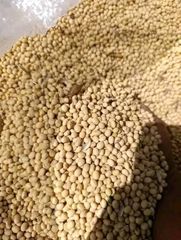 Non GMO Soybean  Specification Soybean Packaging Jute bag - Image 1