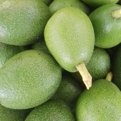 Fresh Organic Avocados – product photo 3, product detail gallery