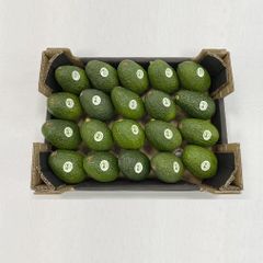 Fresh Hass Avocado / Avocados 4.5kg box – product photo 1, product detail gallery