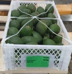 Colombian Avocado Hass – product photo 1, product detail gallery