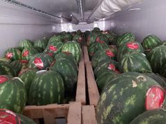 Watermelon – product photo 2, product detail gallery