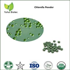 Chlorella Powder - Image 1