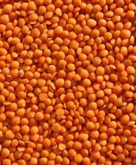 Lentils Origin Canada Purity Min. 99% Foreign Matter Max. 0.5% Moisture Content Max. 12–14% Processing Type Conventional And - Image 1