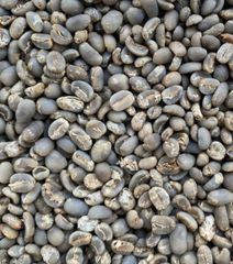 Premium Arabica Mandheling green coffee beans - wholesale – product photo 1, product detail gallery