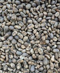 Grade AA Arabica Lintong green coffee beans - for export - Image 1