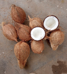 Semi Husked Coconut  – product photo 2, product detail gallery