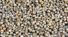 Peral Millet Bajra – product photo 3, product detail gallery