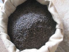 Black Pepper – product photo 3, product detail gallery