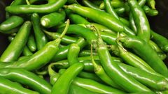 Indian Fresh Vegetables - Image 9