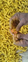 Turmeric - Image 1