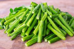 Indian Fresh Vegetables - Image 6
