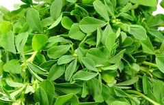 Indian Fresh Vegetables - Image 5