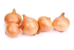 Fresh Onions  – product photo 1, product detail gallery