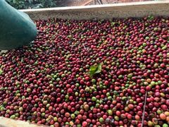 High Quality Vietnamese Freshly Roasted Brown Arabica Coffee Beans Made In Vietnam Export Standard - Image 2