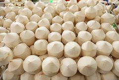 High Quality Tropical Fruit Coconut Diamond Shape Good Price - Image 2