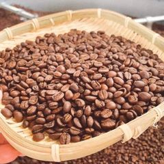 High quality DHPONE medium roasted coffee beans with 60% Arabica + 40% Robusta packing 500gram made in Dak Lak Vietnam – product photo 5, product detail gallery