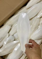 Premium Dried Cuttlefish Bone Wholesale Seafood Dried Cuttlefish Bones High Quality Lowest Price 100% Natural Bag Packaging AD - Image 5