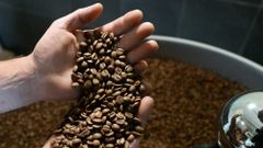 High Quality Vietnamese Freshly Roasted Brown Arabica Coffee Beans Made In Vietnam Export Standard - Image 5
