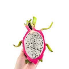FRESH DRAGON FRUIT WITH RED/WHITE FLESH FOR WHOLESALE FROM VIETNAM - Image 1