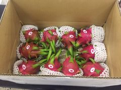 Vietnam Fresh Dragon Fruit/ Wholesale Pitaya Fruit Vietnam/Red or White flesh Dragon Fruit in Vietnam - Image 3