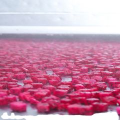 Frozen Red Flesh Dragon Fruit for Exporters from Viet Nam with high quality - Image 5