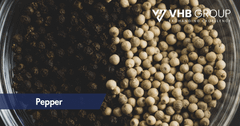 Company – thumbnail 10 of 21, supplier detail gallery
