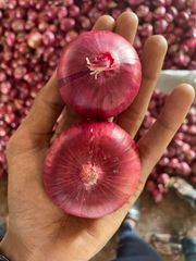 Indian Fresh Vegetables - Image 4