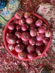 Indian Fresh Vegetables - Image 3