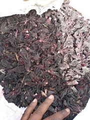 Hibiscus flowers - Image 2