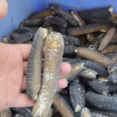 Packaged Meat & Seafood - Image 1