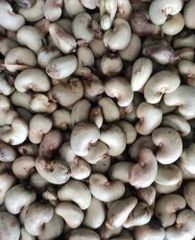 Cashew nut  Packaging 50 kg,100kg and 25 kg depending on customers - Image 2