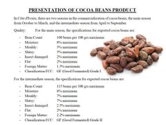 Cocoa beans 1st grade  – product photo 2, product detail gallery