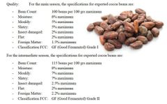Cocoa beans 1st grade  – product photo 1, product detail gallery