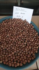 Betel nut Texture Natural Purity Sourcing Sustainable Farms Flavor Distinct Aroma, Deep Flavor Intended Use Traditional Use, Medicinal Applications, Daily Chewing - Image 2