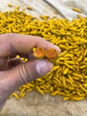 Turmeric finger  – product photo 3, product detail gallery
