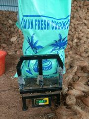 Semi-husked Coconut – product photo 3, product detail gallery