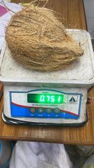 Semi-husked Coconut – product photo 2, product detail gallery