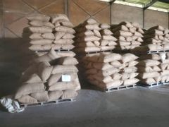 Cocoa Beans  – product photo 2, product detail gallery